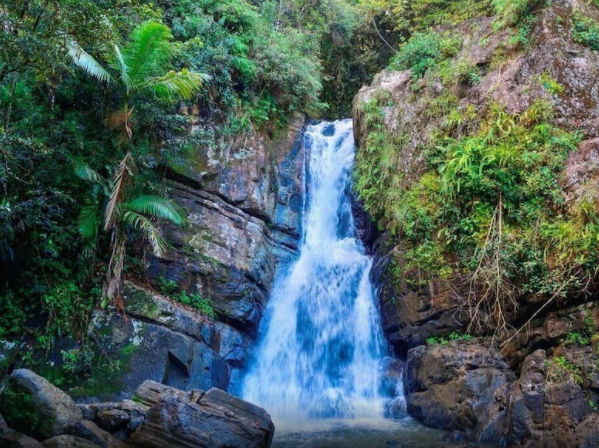 A tropical waterfall
